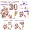 Rose Gold Birthday Decorations, Cheers to 30 Years Banner, All Ages & Anniversary